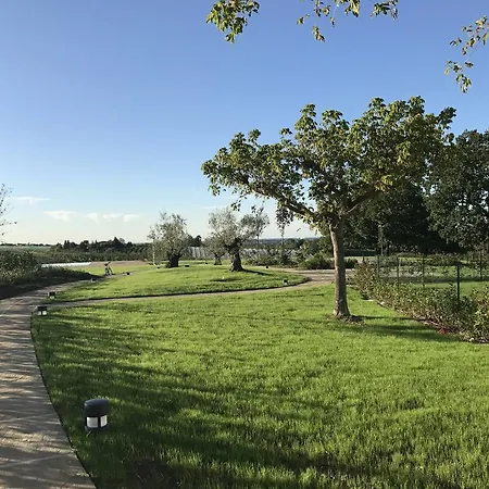 La Rinaldina * Faenza