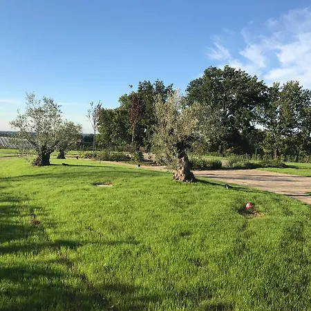 La Rinaldina Faenza