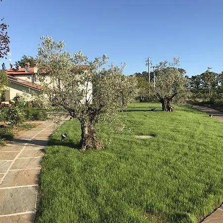 La Rinaldina Feriegård Faenza