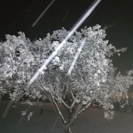 La Rinaldina Feriegård Faenza