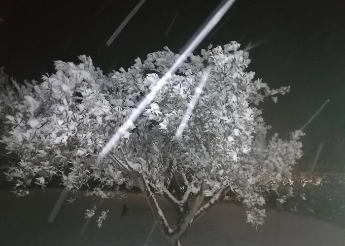 La Rinaldina Çiftlik konaklama Faenza